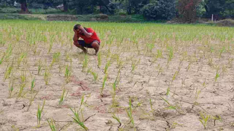 Meerut Farmers Await Monsoon Meerut Farmers Await Monsoon