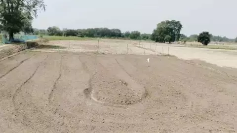 Raebareli News: डीजल कैप, खाद संकट और सूखी नहरों से परेशान रायबरेली के किसान, धान की खेती पर मंडराया Raebareli News: डीजल कैप, खाद संकट और सूखी नहरों से परेशान रायबरेली के किसान, धान की खेती पर मंडराया