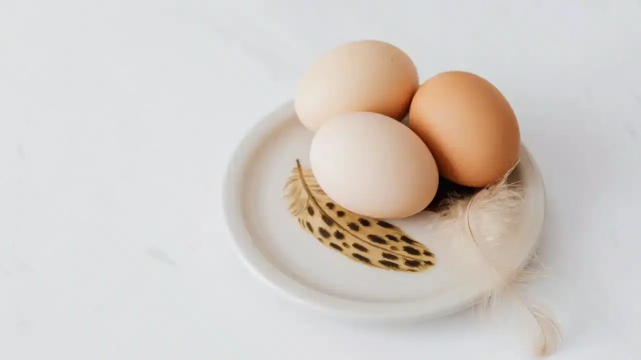 Egg freshness test