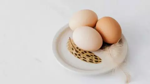 Egg freshness test