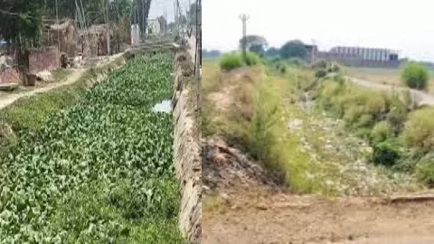 Ghazipur News (Social Media).jpg