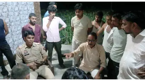 Hapur News: सिंभावली में कई गोवंश अचेत मिलने से हड़कंप, इंजेक्शन की आशंका पर जांच शुरू