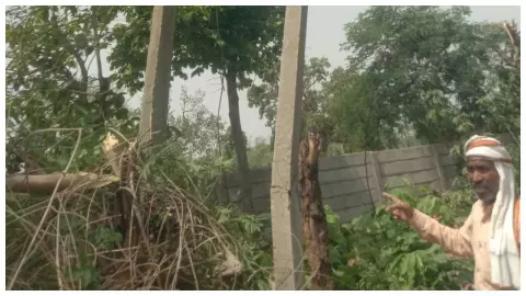 Power supply destroyed in Naugarh, bildata troubled in Katiamar Mauj
