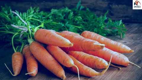 Carrot Benefits Carrot Benefits