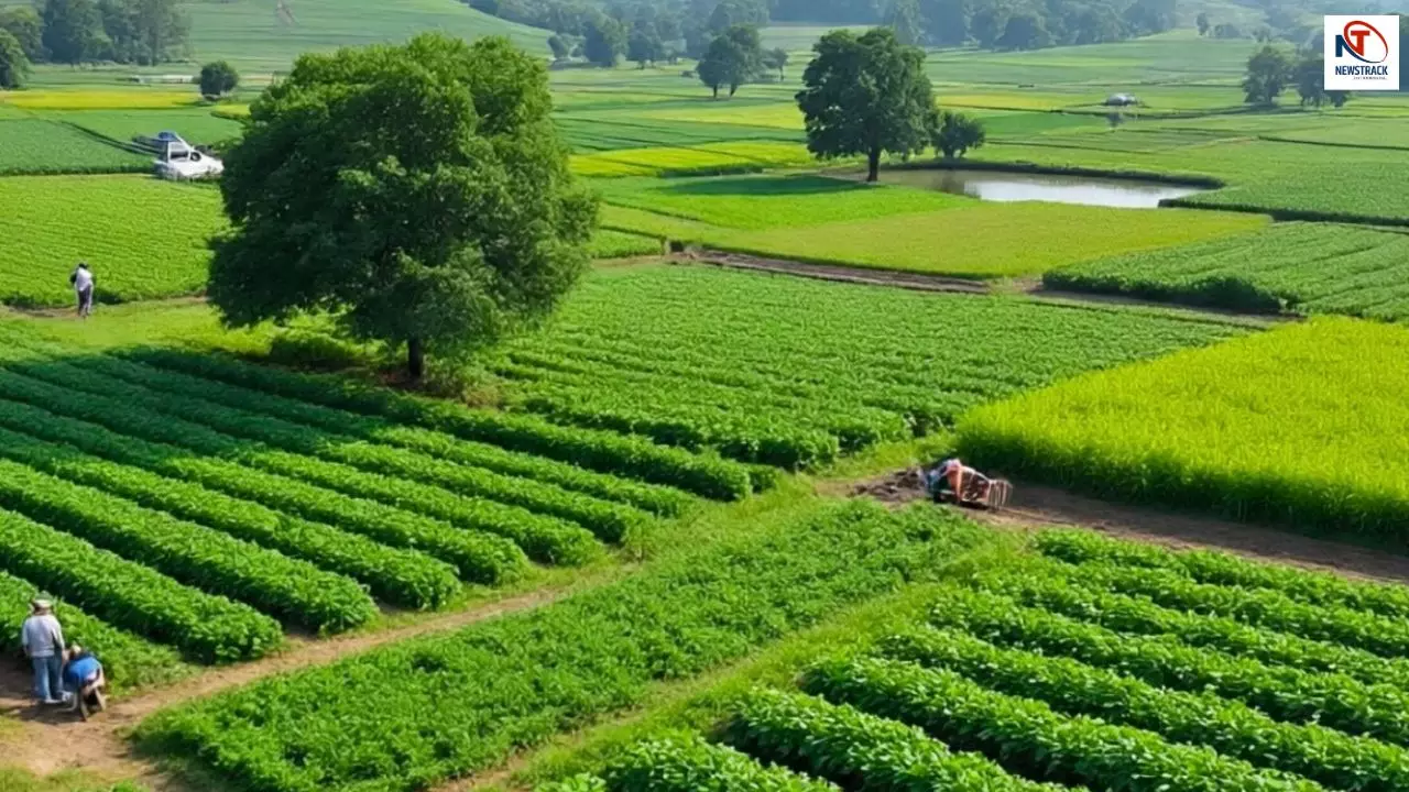 प्राकृतिक खेती को बढ़ावा! किसानों से रासायनिक खेती छोड़ने की अपील, कार्यशाला में दिखा उत्साह