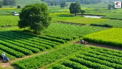 प्राकृतिक खेती को बढ़ावा! किसानों से रासायनिक खेती छोड़ने की अपील, कार्यशाला में दिखा उत्साह