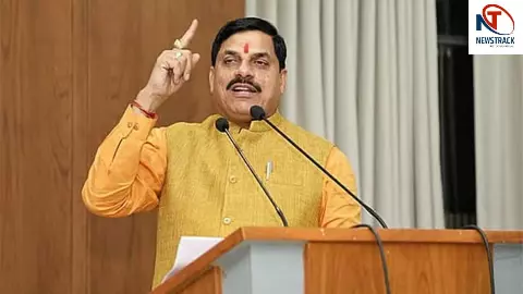 MP News MP News