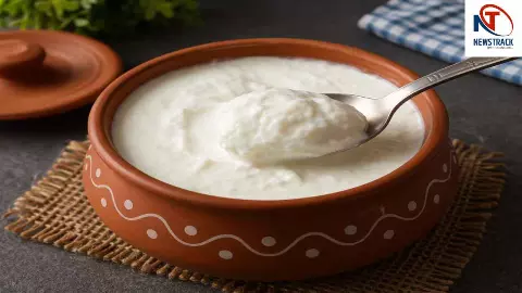 Curd Benefits Curd Benefits