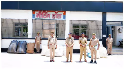 Police destroy drugs worth Rs 5.31 crore under Operation Dahan