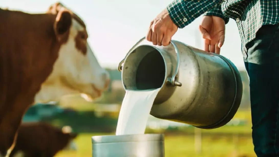 Milk Price Hike Milk Price Hike
