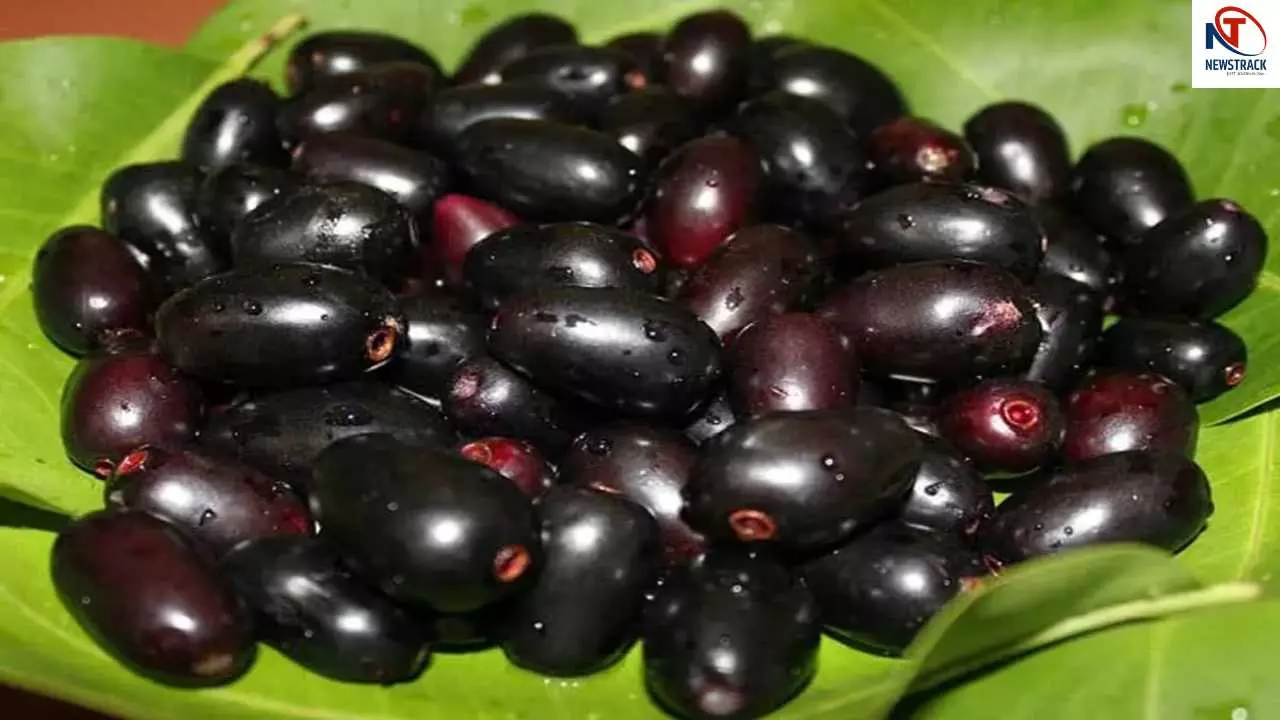 Jamun Washing Tips: Jamun Washing Tips: