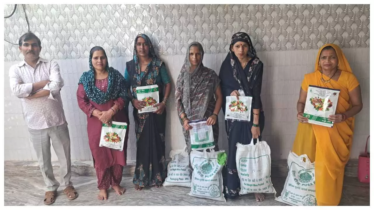 Soch Foundation and Pusa Institute initiative promoted advanced cultivation of rice