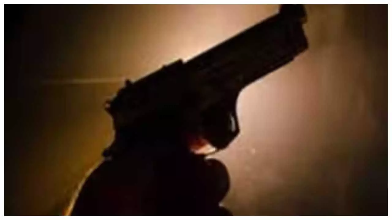 Pistol shots fired at wedding ceremony, two brothers injured Pistol shots fired at wedding ceremony, two brothers injured