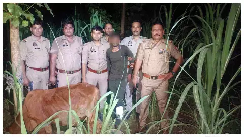 Saharanpur Police Encounter: पुलिस की बड़ी कार्रवाई, मुठभेड़ में शातिर गौकश अरशद घायल होकर दबोचा गया Saharanpur Police Encounter: पुलिस की बड़ी कार्रवाई, मुठभेड़ में शातिर गौकश अरशद घायल होकर दबोचा गया
