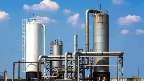 Tamil Nadu Ammonia Gas Leak: झींगा फैक्ट्री में गैस रिसाव से 7 महिलाओं की मौत, 60 की हालत नाजुक