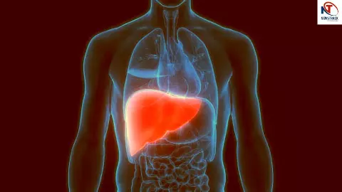 Liver Health Drink
