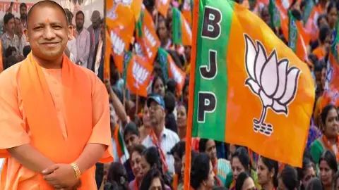 up bjp team up bjp team