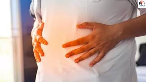 Gut Health Tips Gut Health Tips