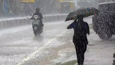 MP Weather Today: मध्य प्रदेश में 50 जिलों में वर्षा का अलर्ट, 2 जुलाई से फिर एक्टिव होगा मानसून MP Weather Today: मध्य प्रदेश में 50 जिलों में वर्षा का अलर्ट, 2 जुलाई से फिर एक्टिव होगा मानसून