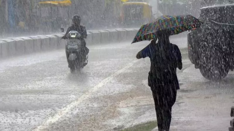 MP Weather Today: मध्य प्रदेश में 50 जिलों में वर्षा का अलर्ट, 2 जुलाई से फिर एक्टिव होगा मानसून MP Weather Today: मध्य प्रदेश में 50 जिलों में वर्षा का अलर्ट, 2 जुलाई से फिर एक्टिव होगा मानसून