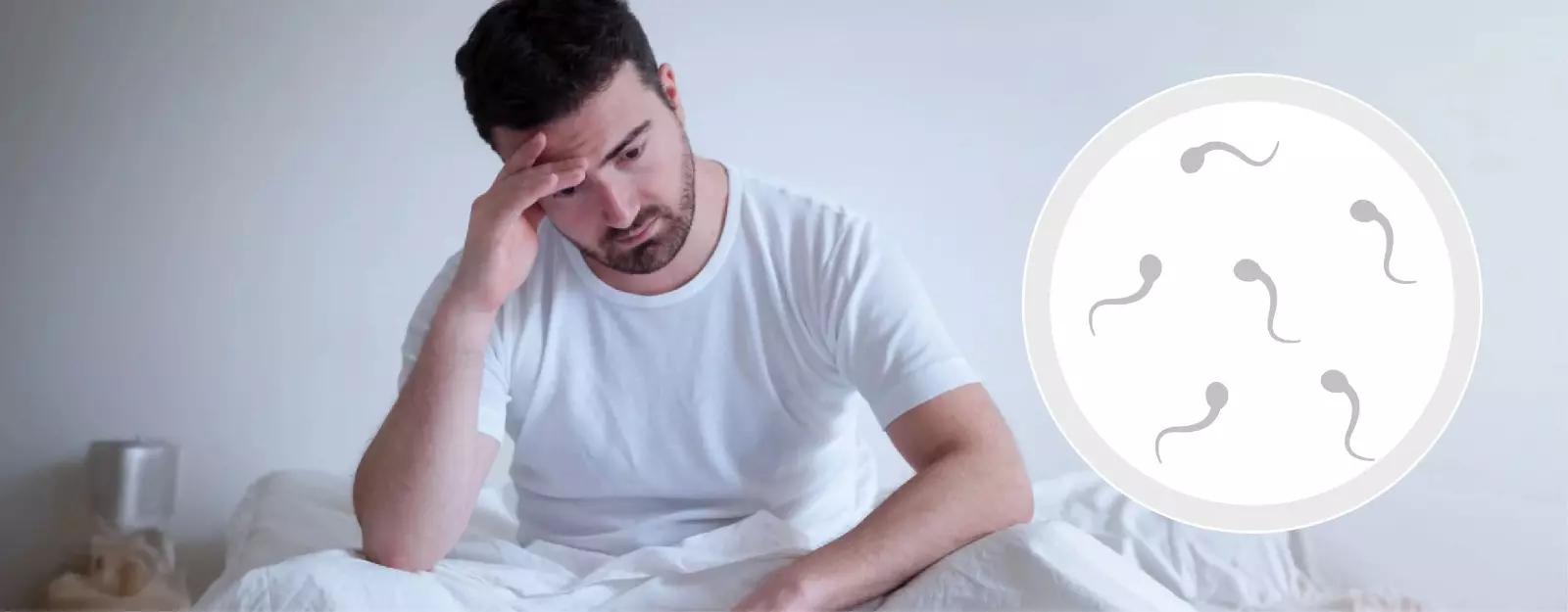 Male Fertility Male Fertility