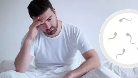Male Fertility Male Fertility