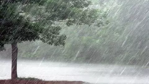 Monsoon Rainfall Update Monsoon Rainfall Update