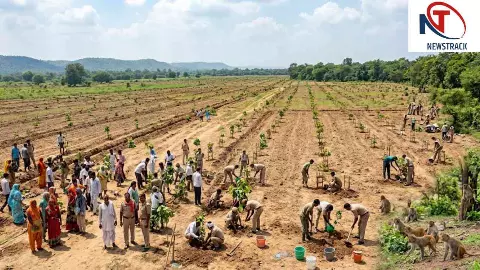 Meerut News: भू-माफियाओं के कब्जे से छुड़ाई 158 हेक्टेयर जमीन पर उगेंगे जंगल, बनेगा कपि वन Meerut News: भू-माफियाओं के कब्जे से छुड़ाई 158 हेक्टेयर जमीन पर उगेंगे जंगल, बनेगा कपि वन