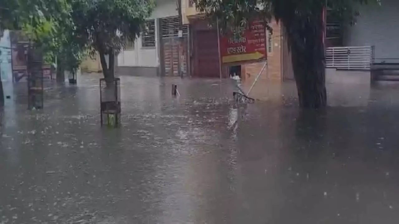 Shamli News Shamli News