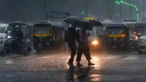 Delhi-NCR Weather Delhi-NCR Weather