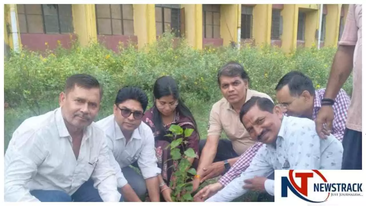 Etah News: जलेसर पीजी कॉलेज में एनएसएस का वृक्षारोपण अभियान, छात्रों ने लिया संरक्षण का संकल्प Etah News: जलेसर पीजी कॉलेज में एनएसएस का वृक्षारोपण अभियान, छात्रों ने लिया संरक्षण का संकल्प