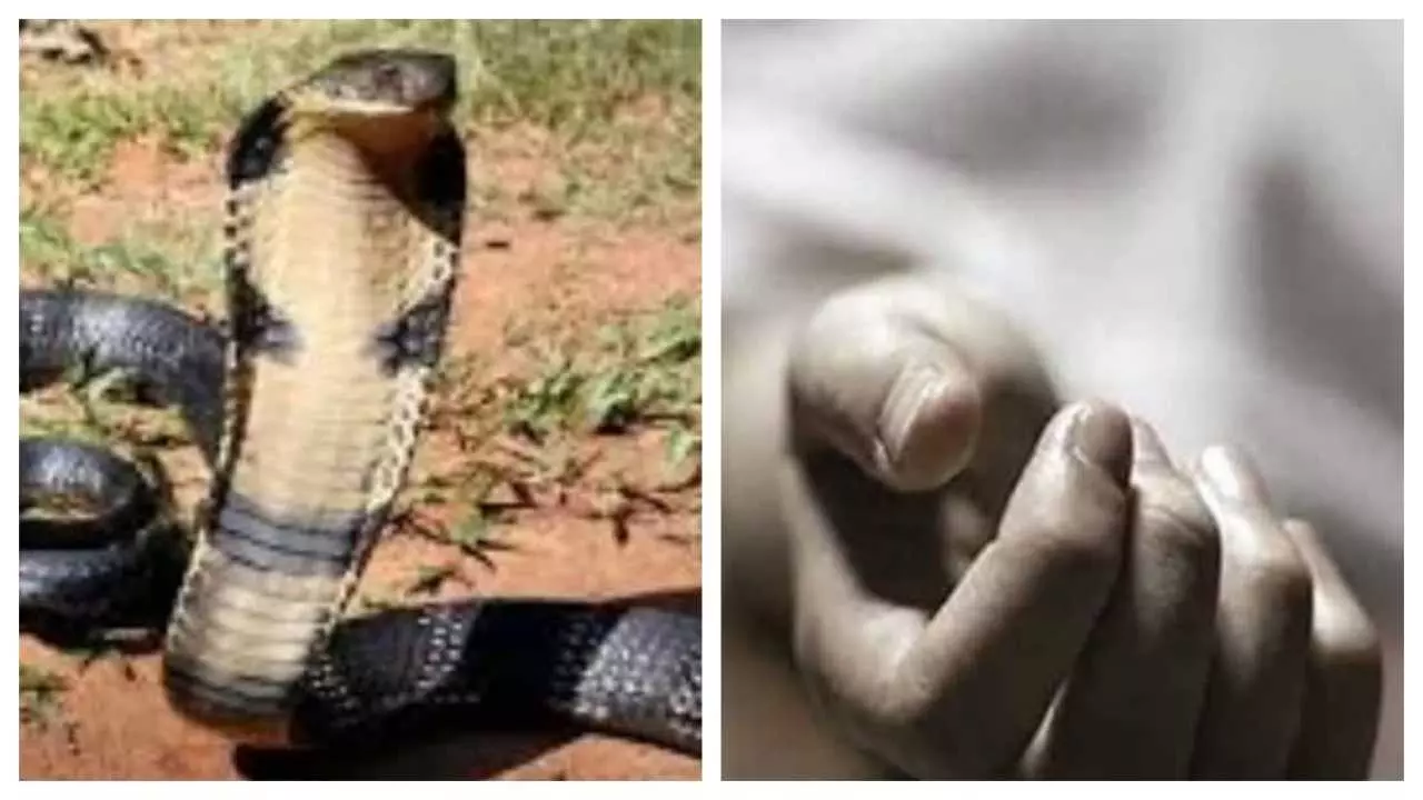 Jharkhand Snake Bite