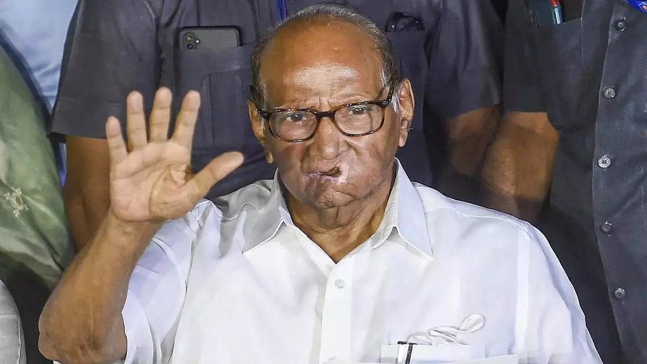 शरद पवार का गजब खेल! बिना NDA में गए भी चमकाएंगे BJP की किस्मत? 15 मिनट का बड़ा सियासी गेम शरद पवार का गजब खेल! बिना NDA में गए भी चमकाएंगे BJP की किस्मत? 15 मिनट का बड़ा सियासी गेम