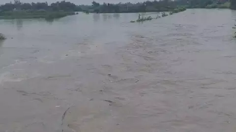 Bijnor News Bijnor News