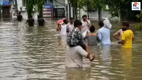 करंट, जलभराव और तेज बहाव ने छीनी 5 जिंदगियां, शहर के कई इलाकों में बाढ़ जैसे हालात करंट, जलभराव और तेज बहाव ने छीनी 5 जिंदगियां, शहर के कई इलाकों में बाढ़ जैसे हालात