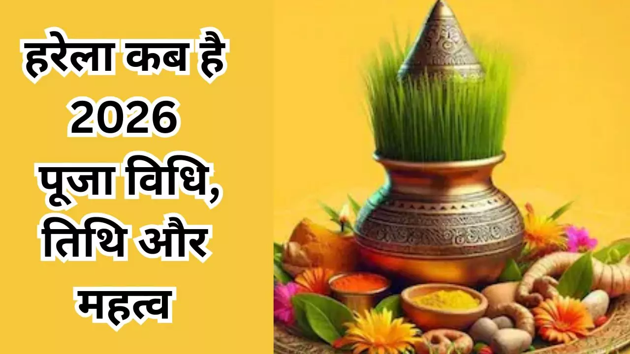 Harela Kab Hai 2026: हरेला पर्व 2026 कब है? जानें क्यों और कब बोए जाते हैं 7 तरह के अनाज Harela Kab Hai 2026: हरेला पर्व 2026 कब है? जानें क्यों और कब बोए जाते हैं 7 तरह के अनाज