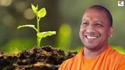 UP News: यूपी में 35 करोड़ पौधरोपण महाअभियान 2026, शिक्षा विभाग ने लगाए 43 लाख पौधे