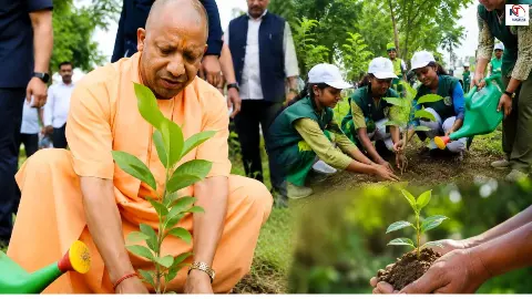 एक पेड़ मां के नाम अभियान में सीएम योगी की अपील, हर नागरिक निभाए पर्यावरण का धर्म एक पेड़ मां के नाम अभियान में सीएम योगी की अपील, हर नागरिक निभाए पर्यावरण का धर्म
