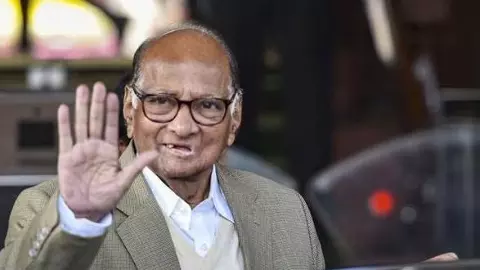 sharad pawar politics
