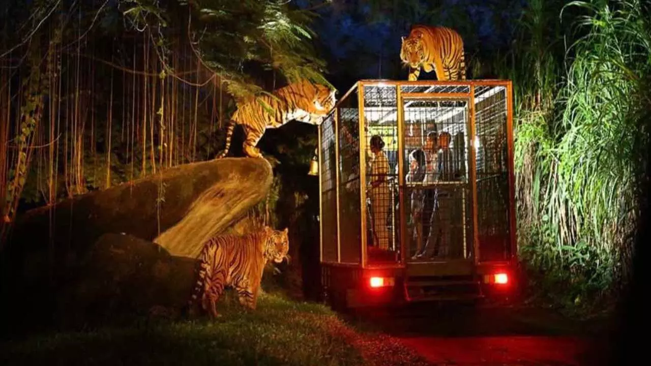 Kukrail Night Safari Lucknow Approved 2026