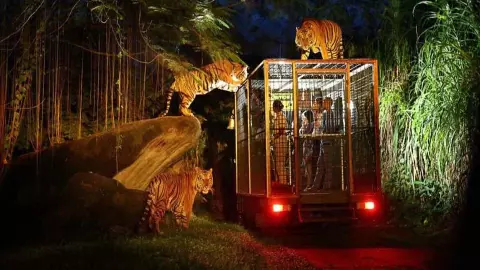 Kukrail Night Safari Lucknow Approved 2026