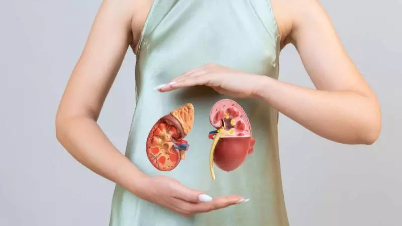 Kidney Health Tips