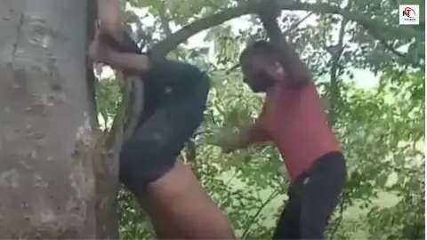 Gonda News: वायरल होने की सनक में क्रूरता! युवक को पेड़ से उल्टा लटकाकर डंडों से पीटा Gonda News: वायरल होने की सनक में क्रूरता! युवक को पेड़ से उल्टा लटकाकर डंडों से पीटा