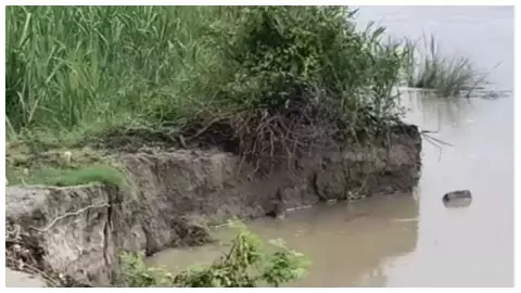 Gonda News: घाघरा का कहर: तरबगंज और कर्नलगंज में बढ़ा कटान, 1 बीघा जमीन और 2 मकान नदी में बह गए Gonda News: घाघरा का कहर: तरबगंज और कर्नलगंज में बढ़ा कटान, 1 बीघा जमीन और 2 मकान नदी में बह गए