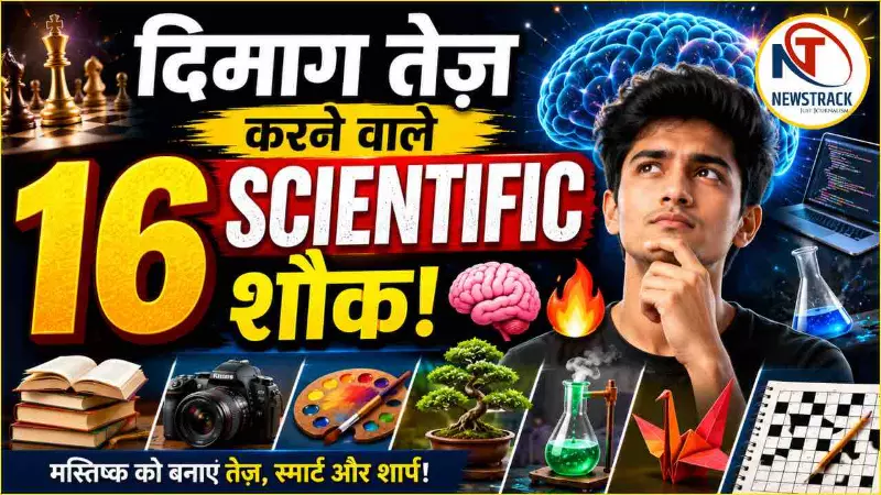 Brain Boosting Hobbies Analysis
