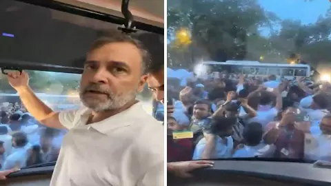 120 सांसद, 2 बसें... छात्रों के समर्थन में राहुल का सबसे बड़ा शक्ति प्रदर्शन, गांधी स्मृति पहुंचकर गूंजा राष्ट्रगान