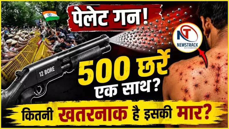 Delhi Student Protest Pellet Gun Explained