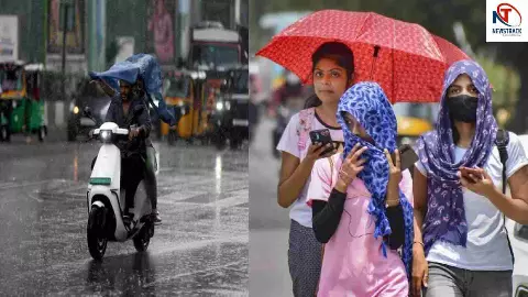 Delhi Weather Delhi Weather
