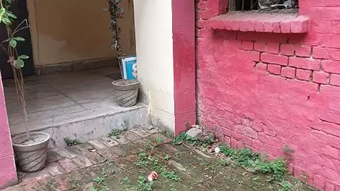 Raebareli News: लाल बहादुर शास्त्री की तस्वीर कूड़ेदान में मिलने का दावा, वीडियो वायरल