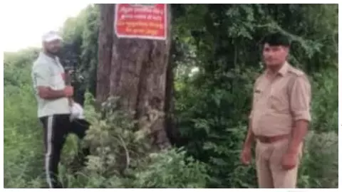 Hapur News: हापुड़ में तेंदुए का हाई अलर्ट, कांवड़ मार्ग पर पिंजरे और 24 घंटे रेस्क्यू टीम तैनात Hapur News: हापुड़ में तेंदुए का हाई अलर्ट, कांवड़ मार्ग पर पिंजरे और 24 घंटे रेस्क्यू टीम तैनात